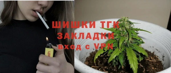 ECSTASY Алексин