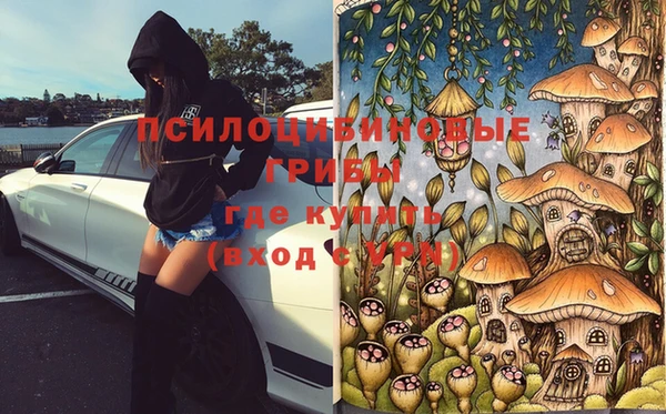 трава Аркадак