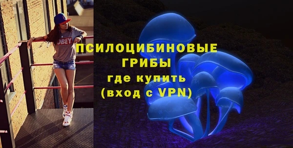 прущие грибы Алзамай