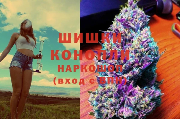 прущие грибы Алзамай